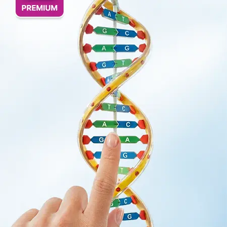 DNA-based nutrition and fitness consultation for personalized diet and lifestyle planning